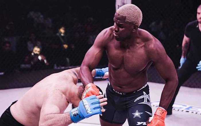 Robelis Despaigne UFC